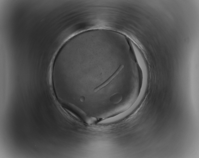 X0000088691246200706141406