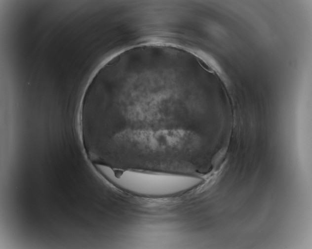 X0000088691247200706141406