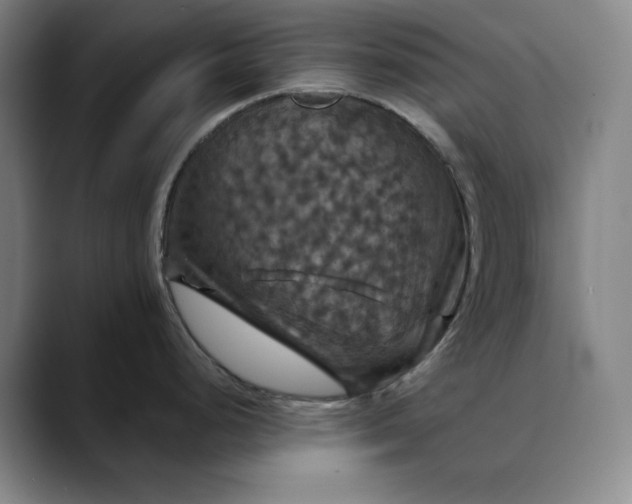 X0000088691248200706141406