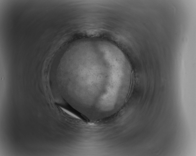 X0000088691249200706141406