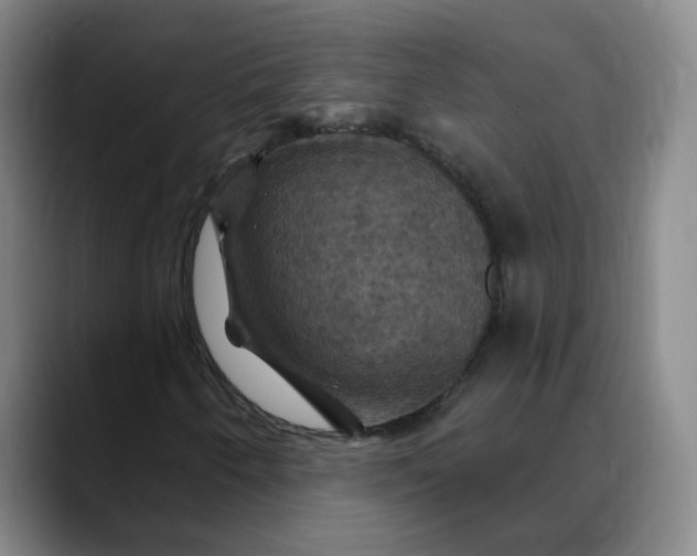 X0000088691250200706141406