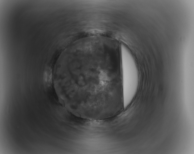 X0000088691251200706141406