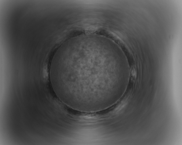 X0000088691252200706141406