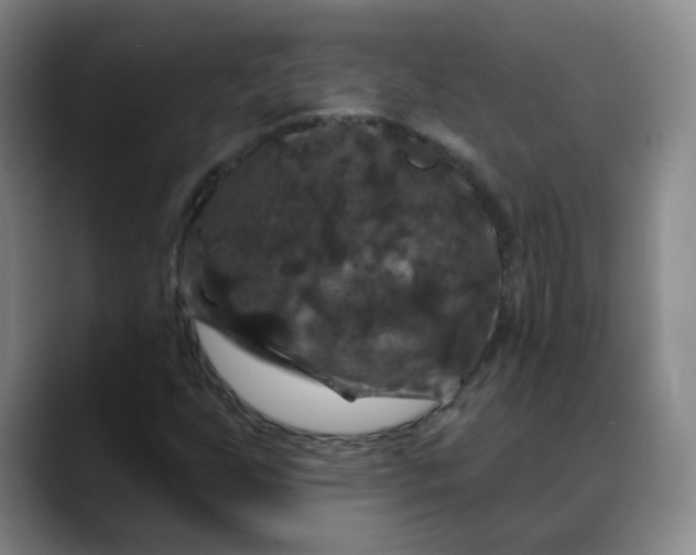 X0000088691255200706141406