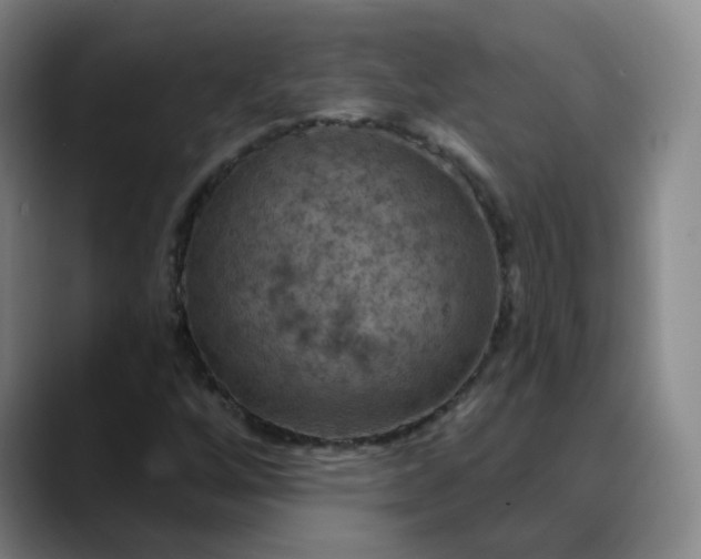 X0000088691256200706141406