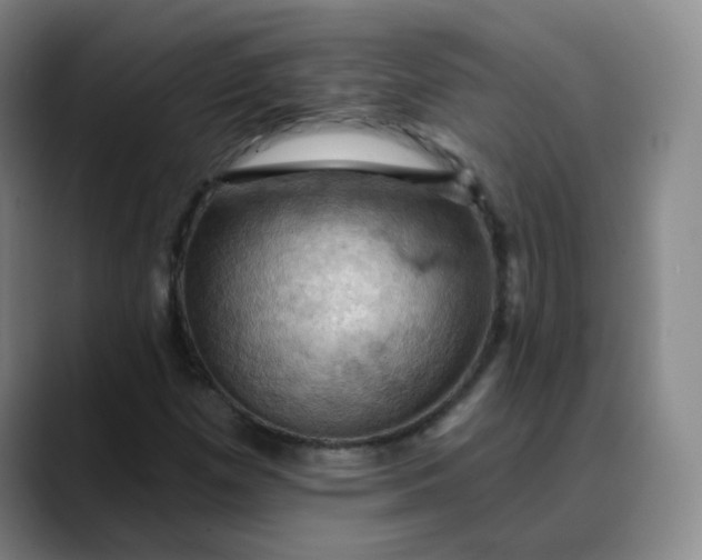 X0000088691257200706141406