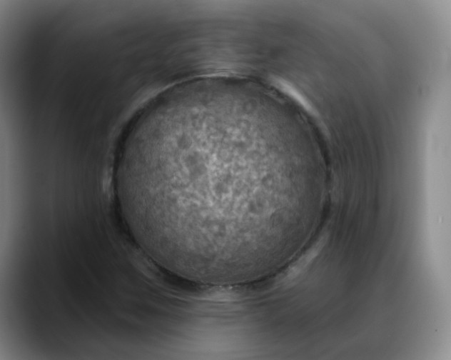 X0000088691259200706141406