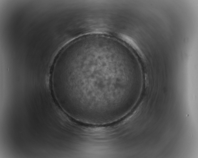 X0000088691260200706141406