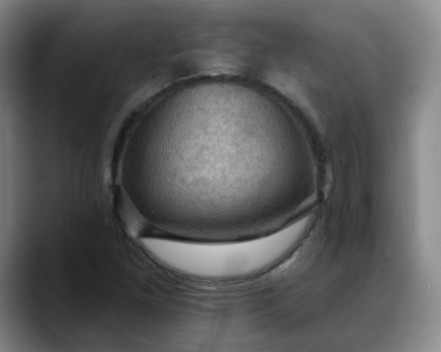 X0000088691261200706141406