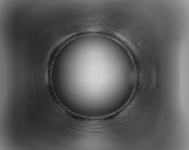 X0000088691262200706141406