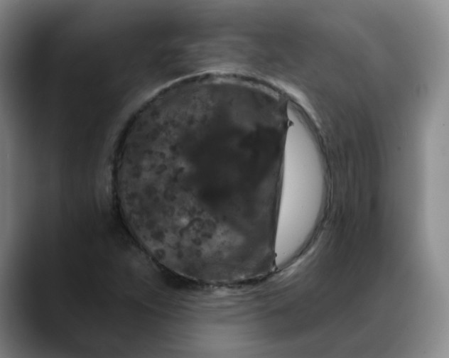 X0000088691263200706141406
