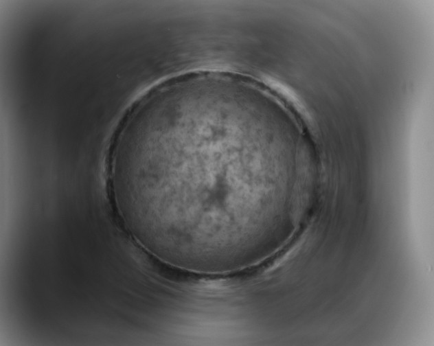 X0000088691264200706141406