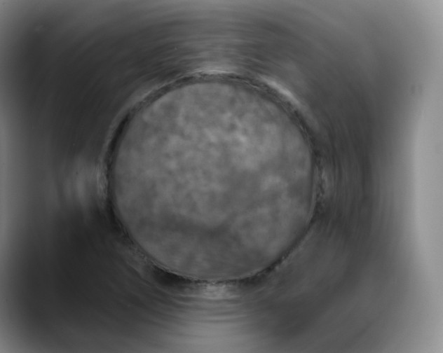 X0000088691266200706141406