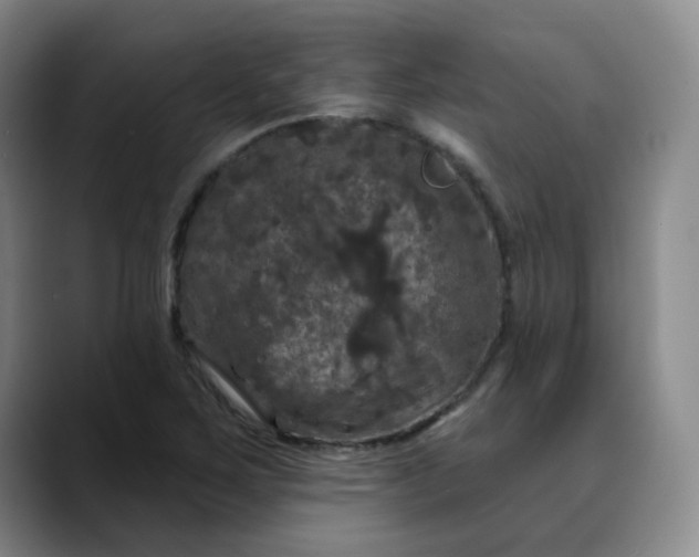 X0000088691267200706141406