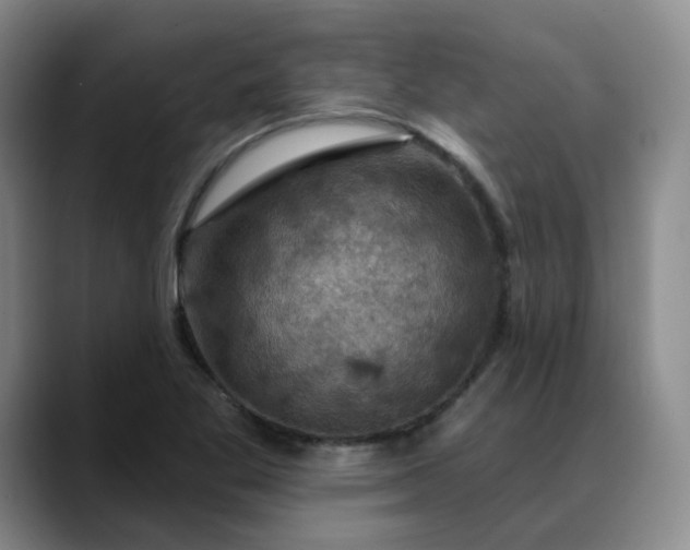X0000088691269200706141406
