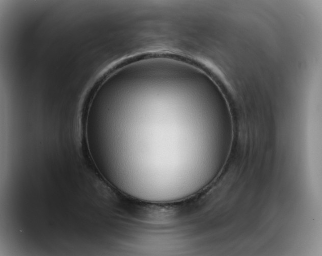 X0000088691270200706141406