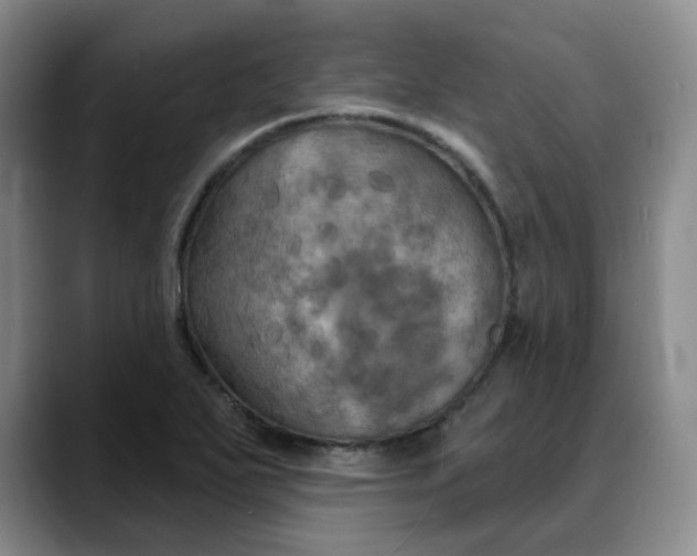 X0000088691271200706141406