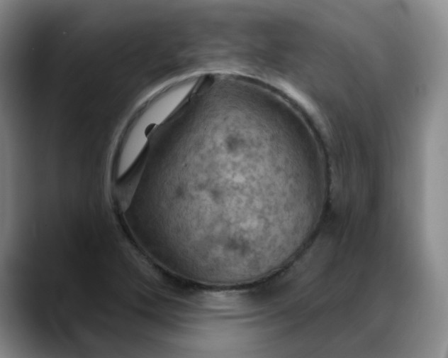 X0000088691272200706141406