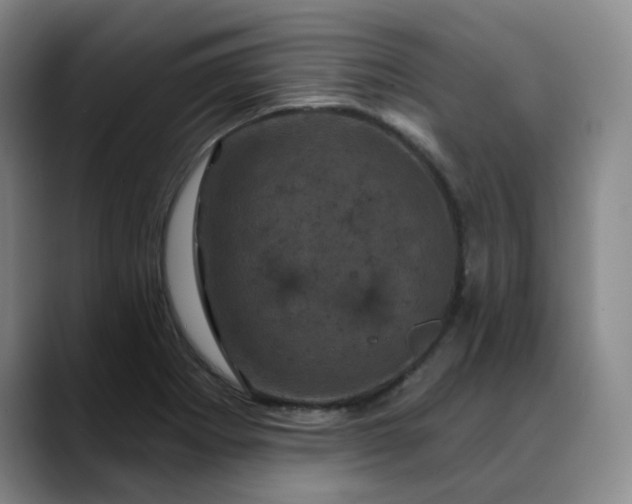 X0000088691273200706141406