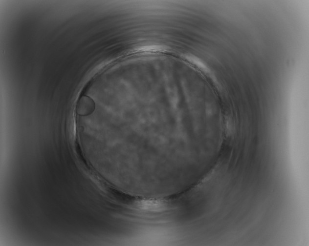 X0000088691274200706141406