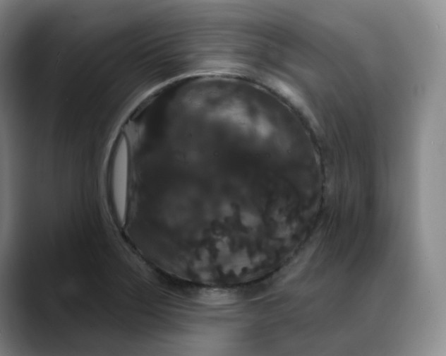 X0000088691275200706141406