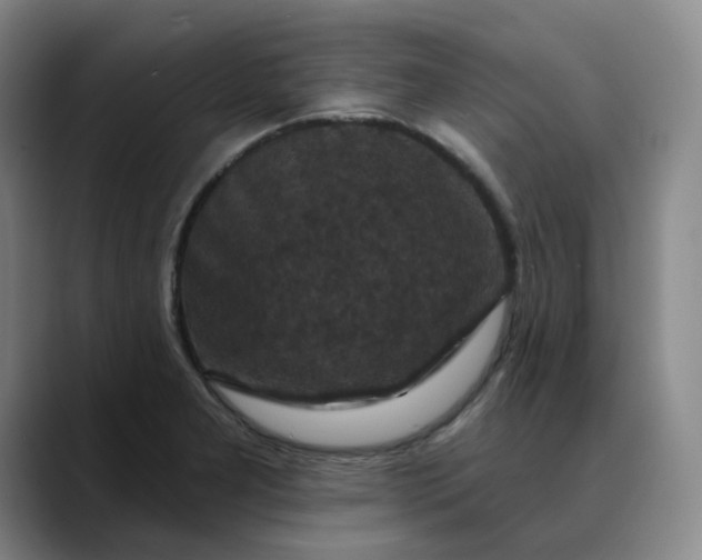 X0000088691277200706141406