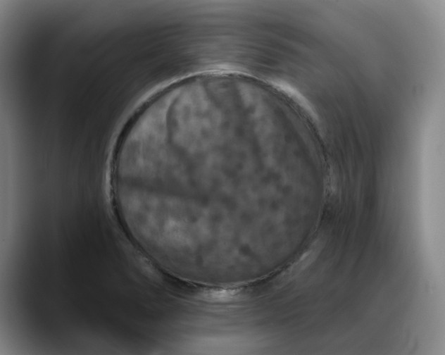 X0000088691278200706141406