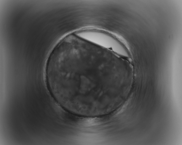 X0000088691279200706141406