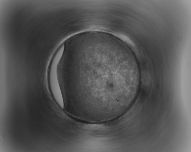 X0000088691280200706141406