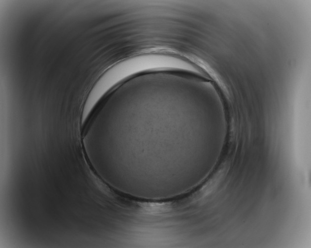 X0000088691281200706141406