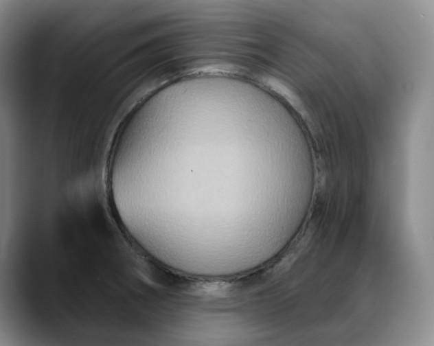 X0000088691282200706141406