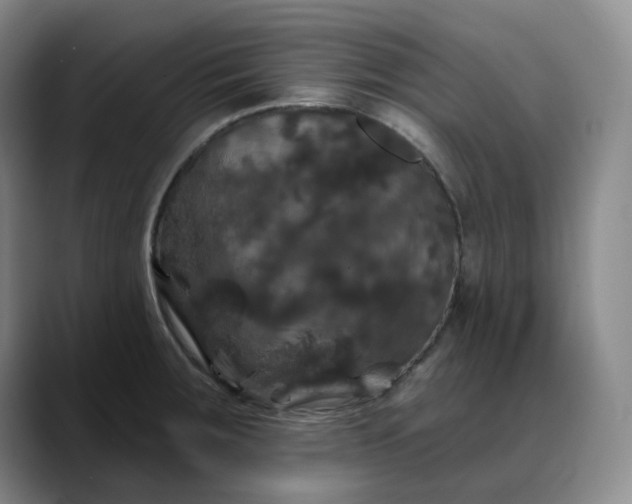 X0000088691283200706141406