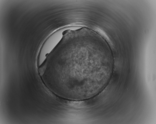 X0000088691284200706141406
