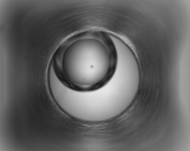 X0000088691287200706141405