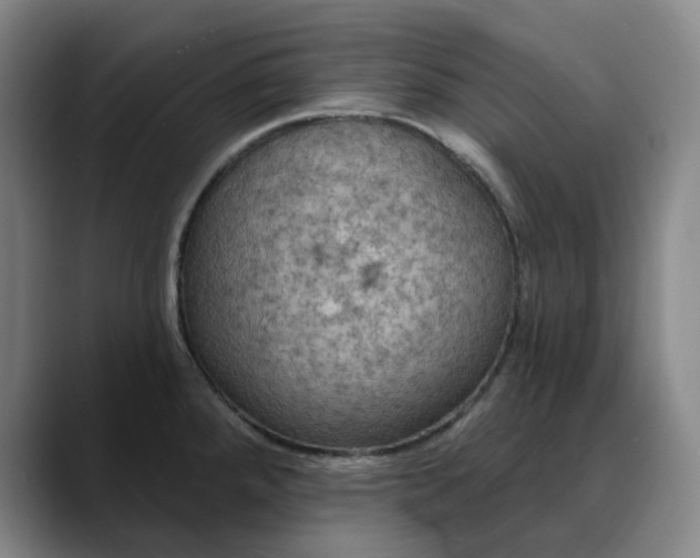 X0000088691288200706141405