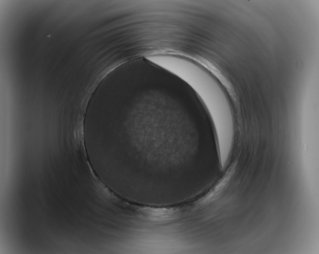 X0000088691289200706141405