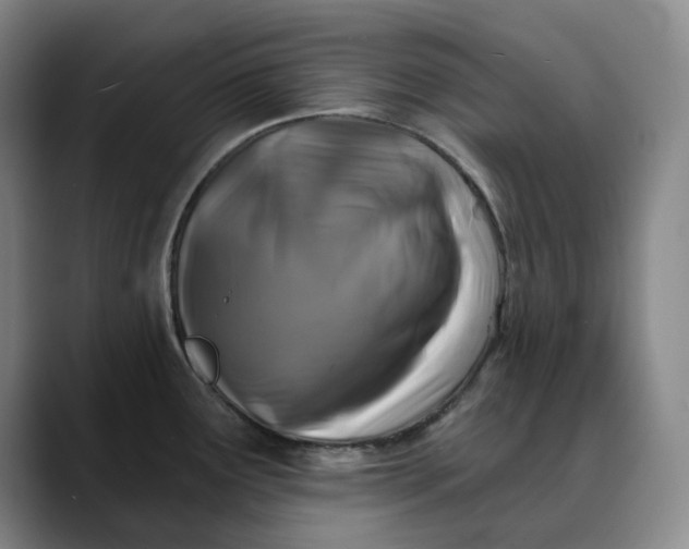 X0000088691291200706141405