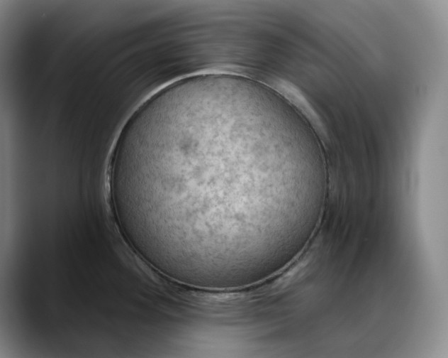 X0000088691292200706141405