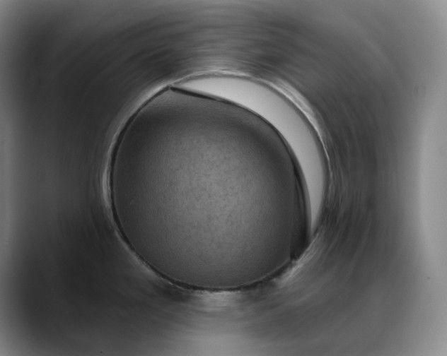 X0000088691293200706141405