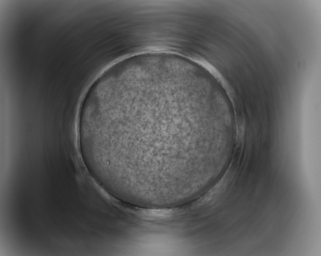 X0000088691294200706141405