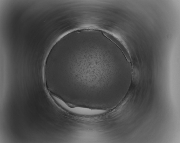 X0000088691295200706141405