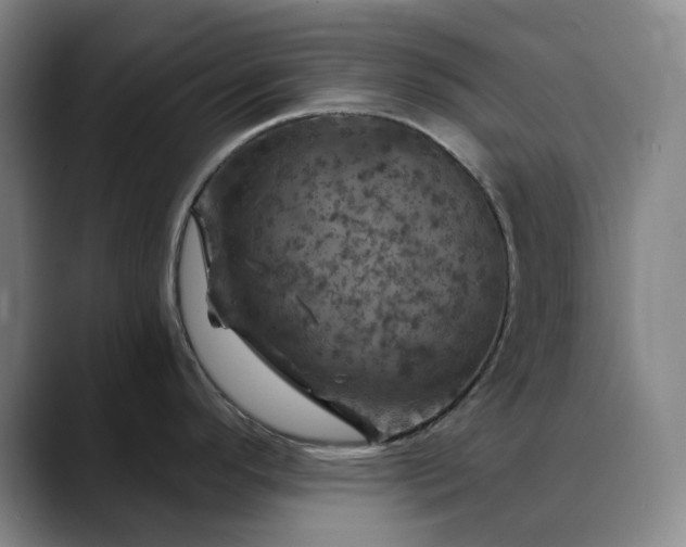 X0000088691296200706141405