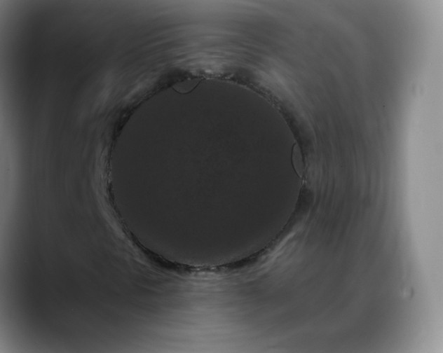 X0000088691297200706141405