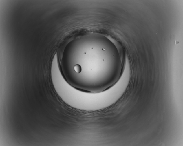 X0000088691298200706141405
