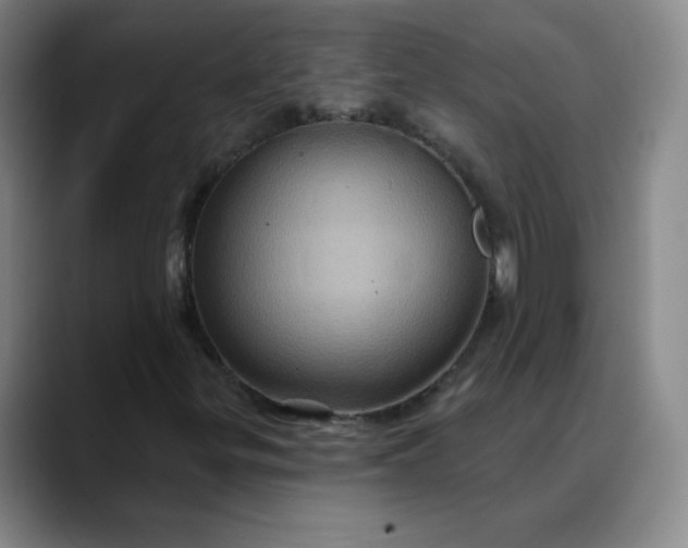 X0000088691299200706141405
