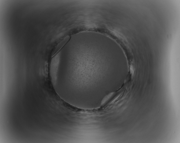 X0000088691301200706141405