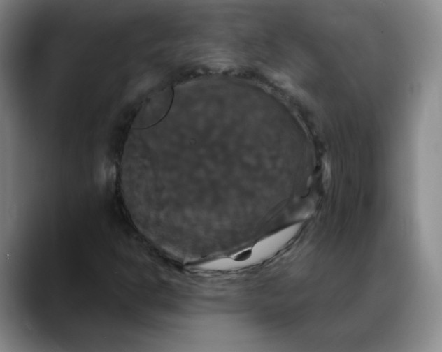 X0000088691302200706141405