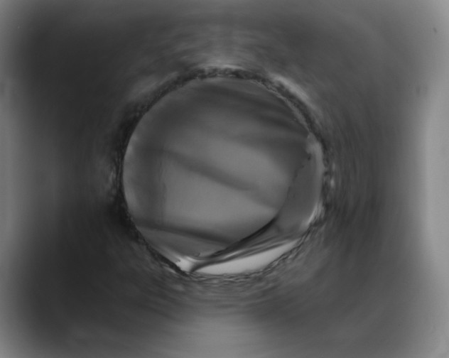 X0000088691303200706141405