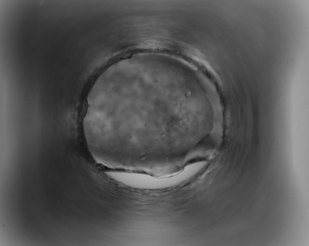 X0000088691304200706141405
