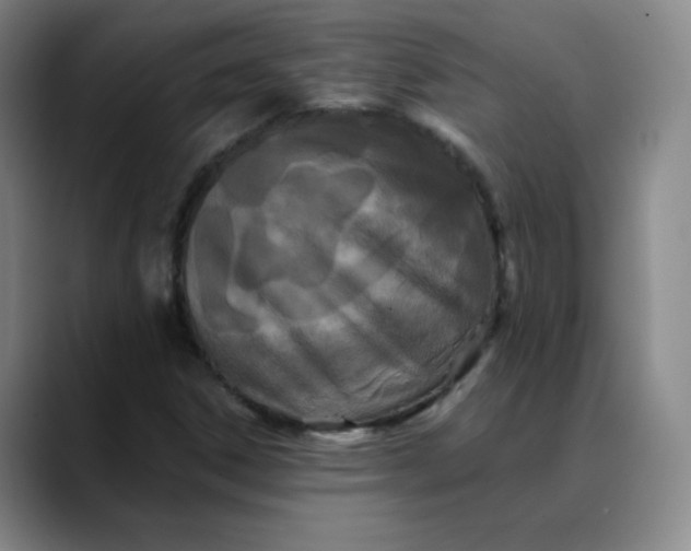 X0000088691306200706141405
